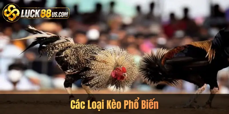 Các Loại Kèo Phổ Biến