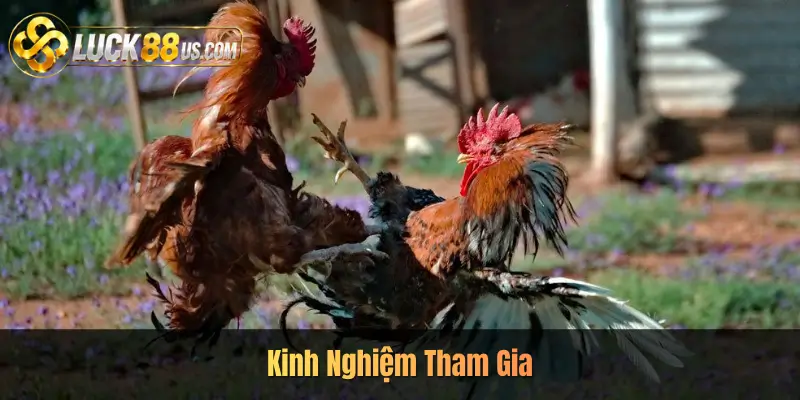 Kinh Nghiệm Tham Gia