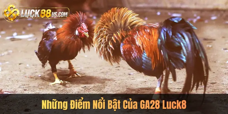Những Điểm Nổi Bật Của GA28 Luck8