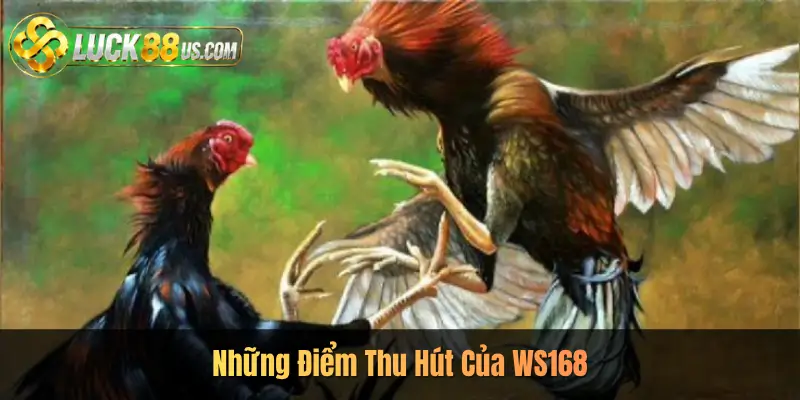 Những Điểm Thu Hút Của WS168