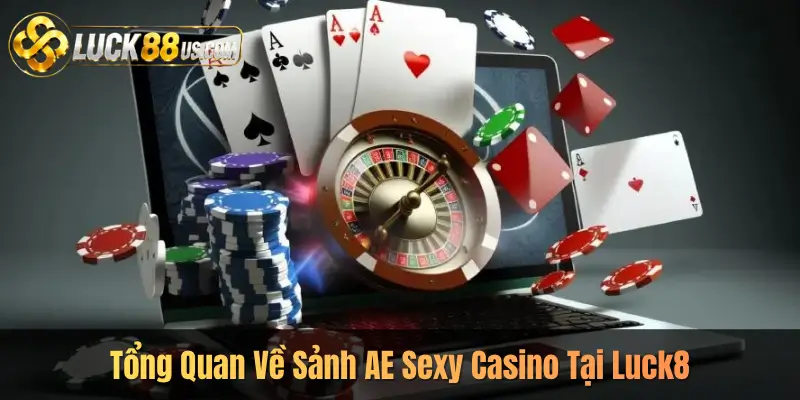 Tổng Quan Về Sảnh AE Sexy Casino Tại Luck8
