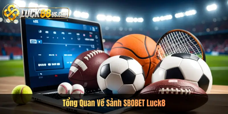 Tổng Quan Về Sảnh SBOBET Luck8